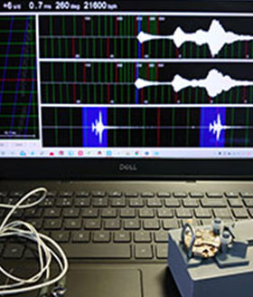 勞力士手表消磁（免費）